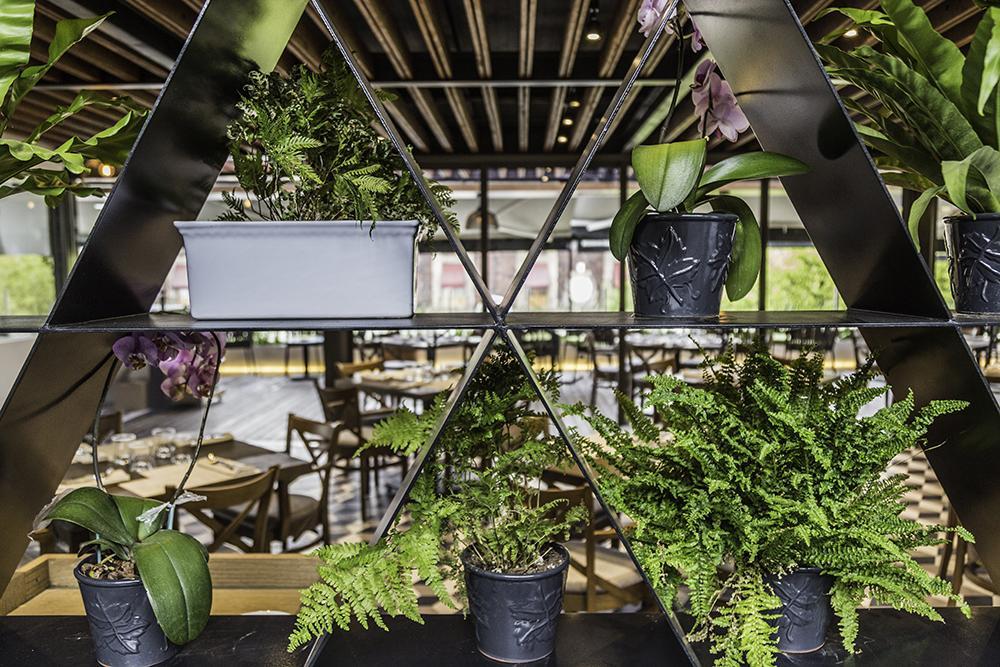 Domingo Santo Hotel Boutique (Adults Only) Mexico City Luaran gambar